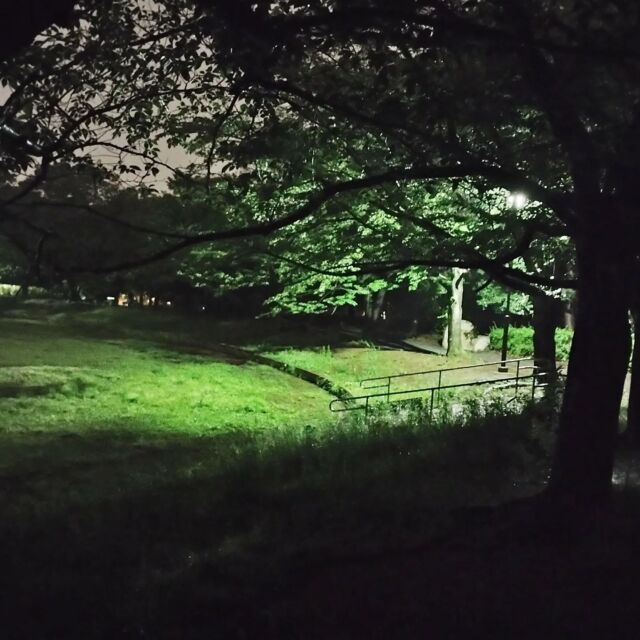 雨がやまない、深夜の山崎公園
㈰は晴れて☀欲しい。

5/20㈯13:30〜21:30開校です。